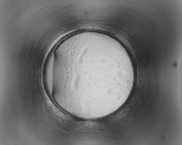 X0000115620984200912011610