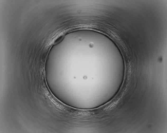 X0000115620985200912011610