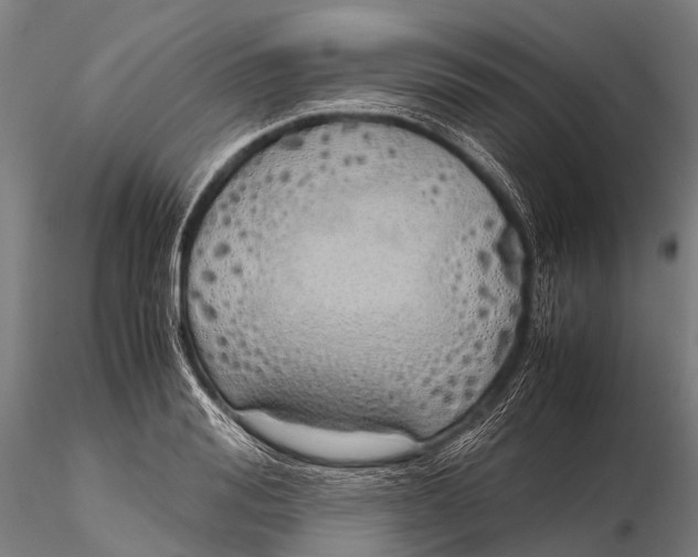 X0000115620988200912011610