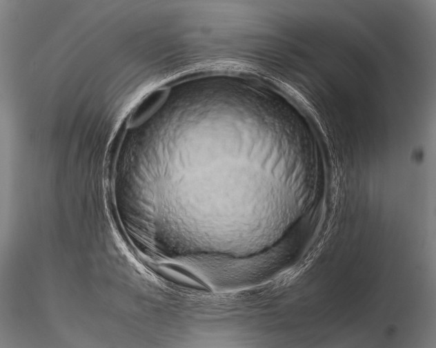 X0000115620989200912011610