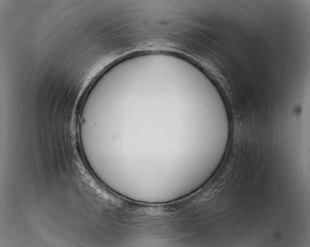 X0000115620990200912011610