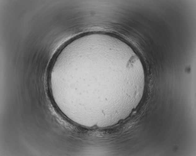 X0000115620991200912011610