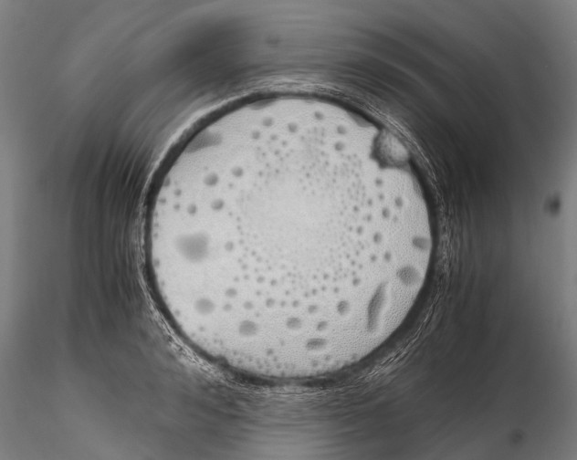 X0000115620992200912011610