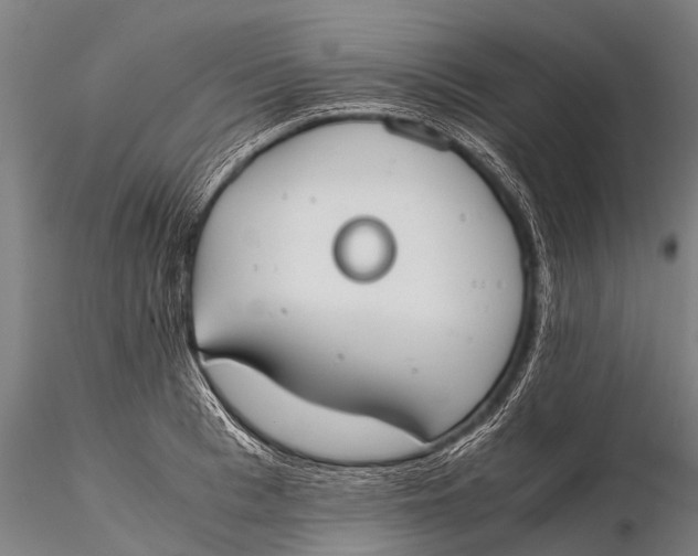 X0000115620993200912011610