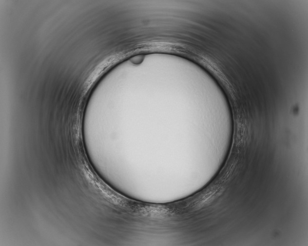 X0000115620994200912011610