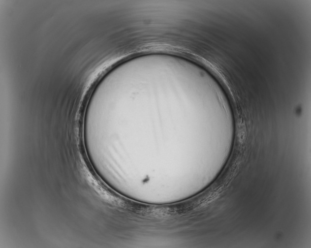 X0000115620995200912011610