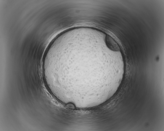 X0000115620996200912011610