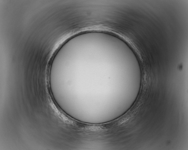 X0000115620998200912011610