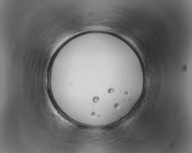 X0000115620999200912011610