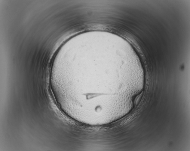 X0000115621000200912011610