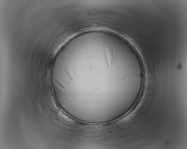 X0000115621001200912011610