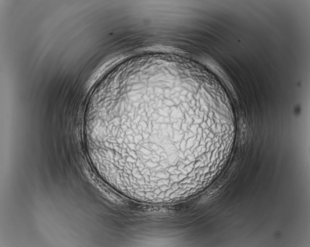 X0000115621002200912011610