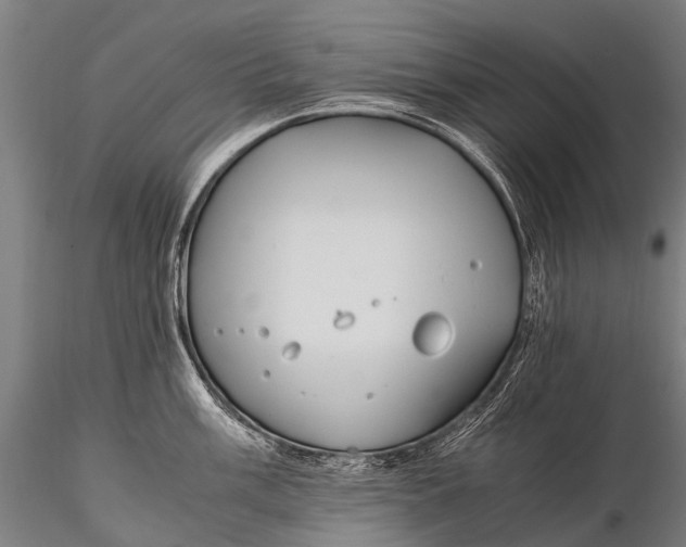 X0000115621003200912011610