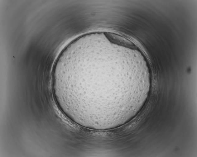 X0000115621004200912011610