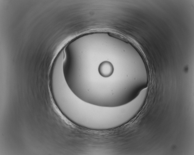 X0000115621005200912011610