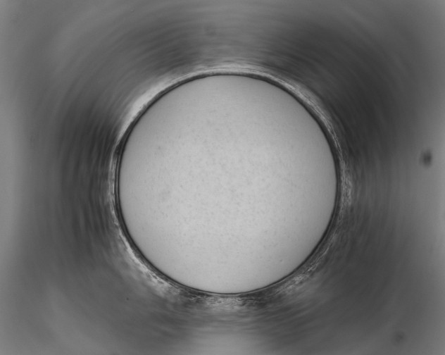 X0000115621006200912011610