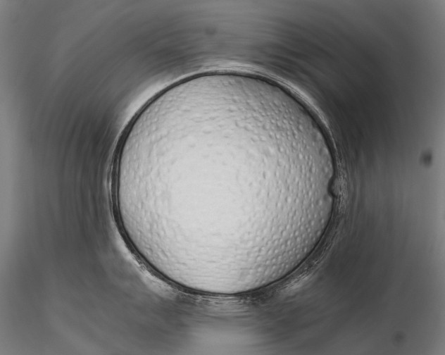 X0000115621007200912011610