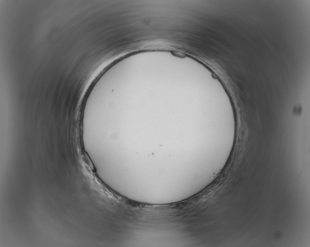 X0000115621008200912011610