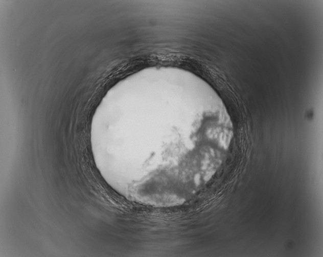 X0000115621009200912011609