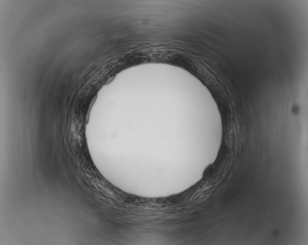 X0000115621010200912011609