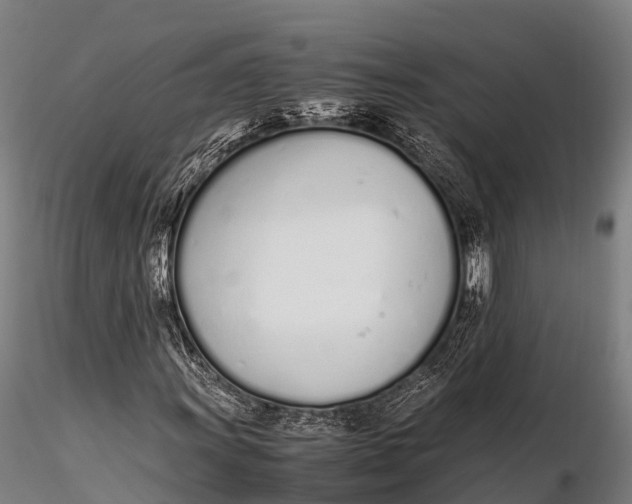 X0000115621011200912011609