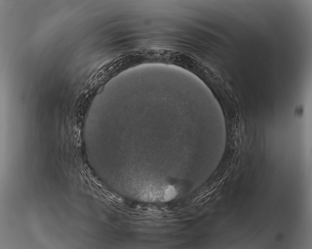 X0000115621013200912011609