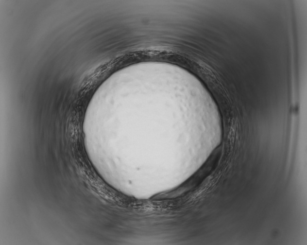 X0000115621014200912011609