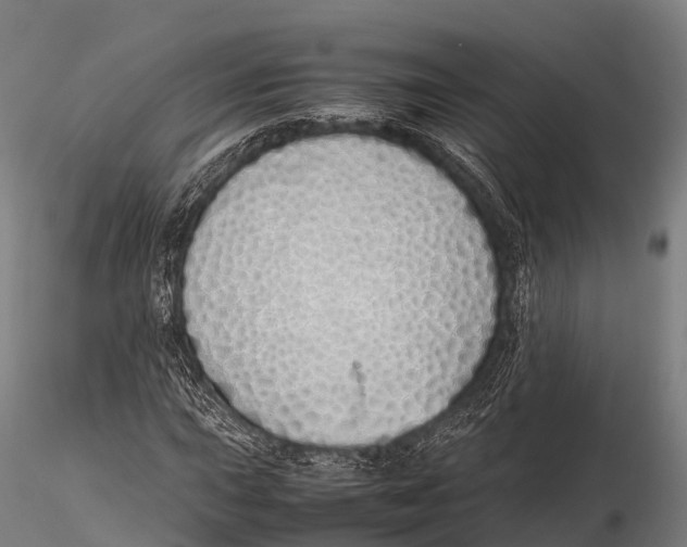 X0000115621015200912011609