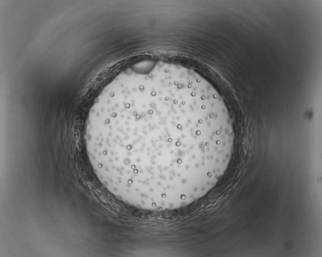 X0000115621016200912011610