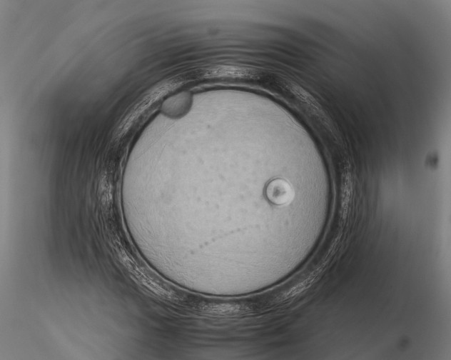 X0000115621017200912011610