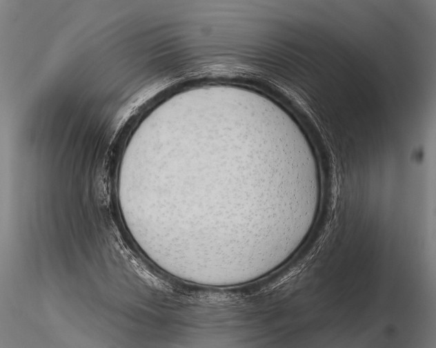 X0000115621018200912011610