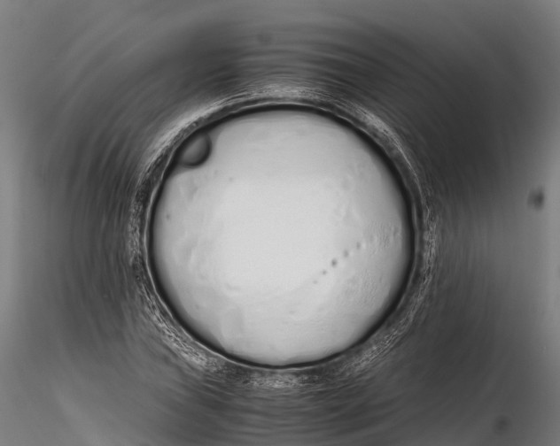 X0000115621019200912011610