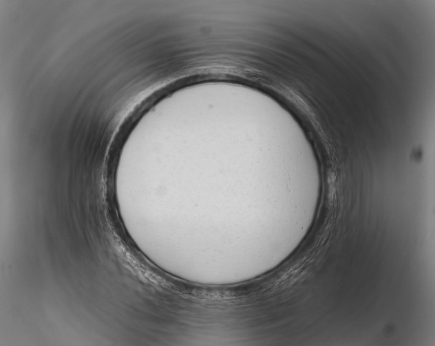 X0000115621020200912011610