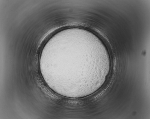 X0000115621021200912011610