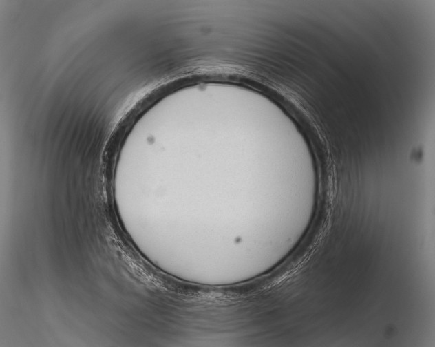 X0000115621022200912011610