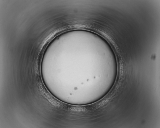 X0000115621023200912011610