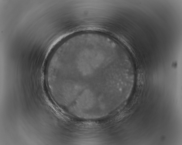 X0000115621024200912011610