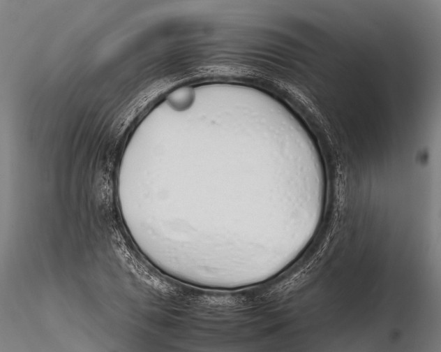 X0000115621025200912011610