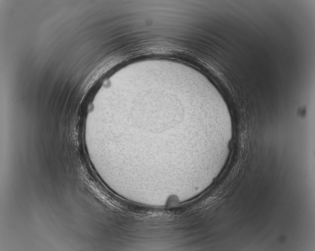 X0000115621026200912011610