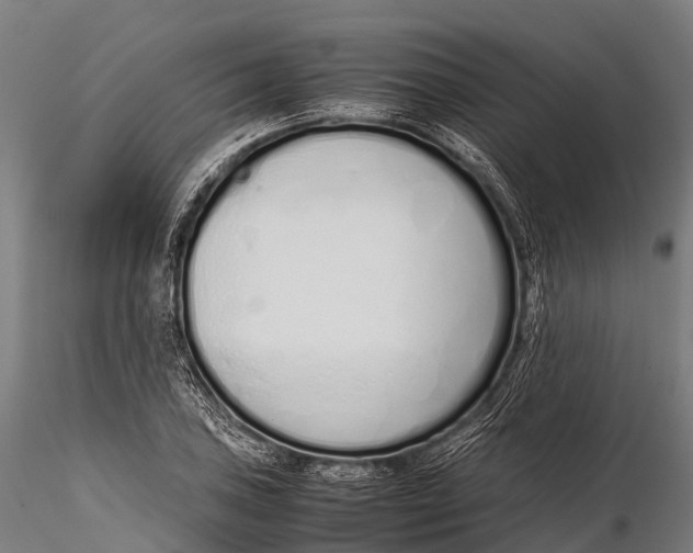 X0000115621027200912011610