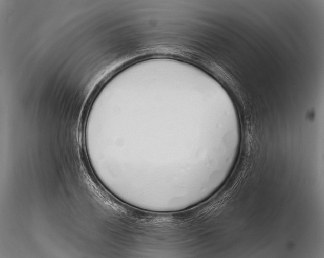 X0000115621028200912011610