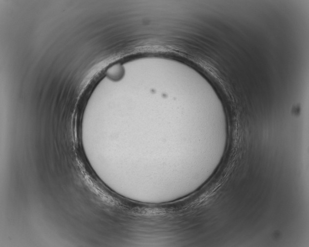 X0000115621030200912011610