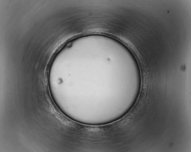 X0000115621031200912011610