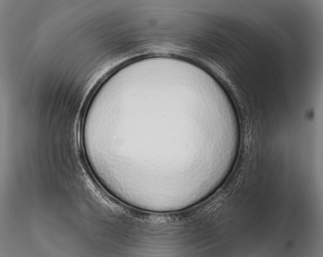 X0000115621032200912011610