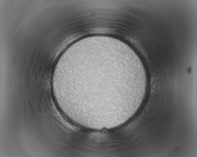 X0000115621033200912011610