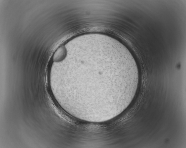 X0000115621034200912011610