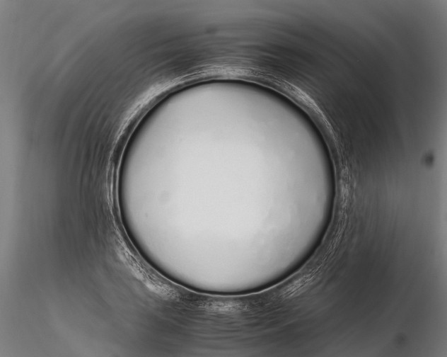 X0000115621035200912011610