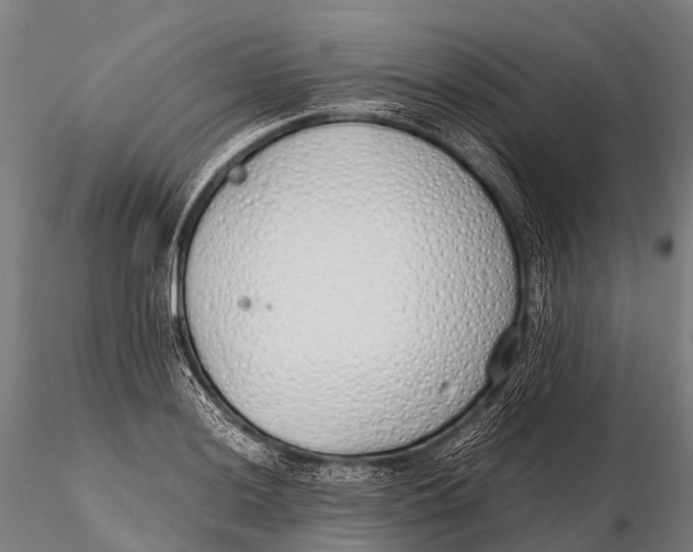 X0000115621036200912011610