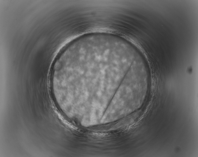 X0000115621037200912011610