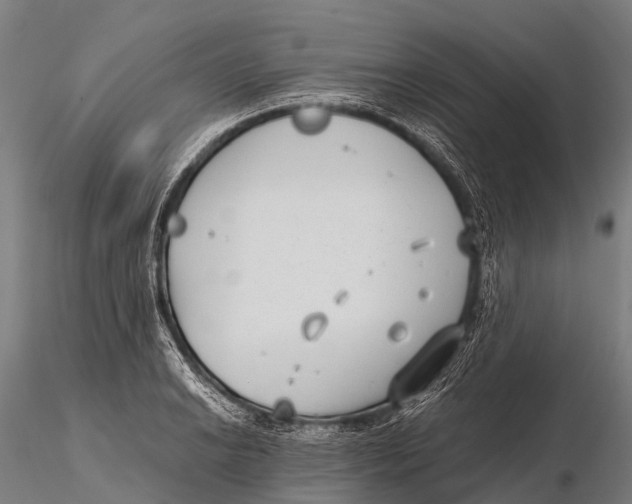 X0000115621038200912011610